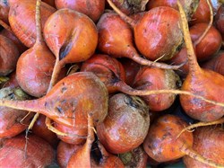 Baby Golden Beets