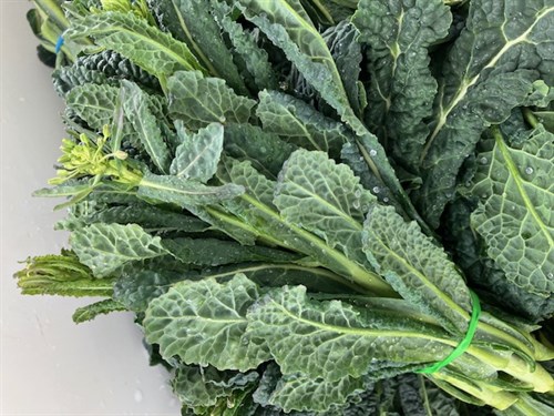 Tuscan Kale Rabe