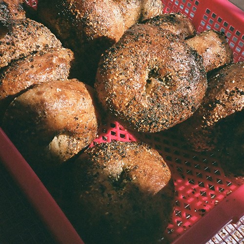 Half Doz. Everything Bagels