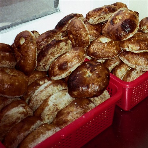 Half Doz. Plain Bagels