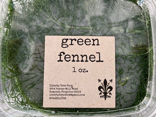 Green Fennel