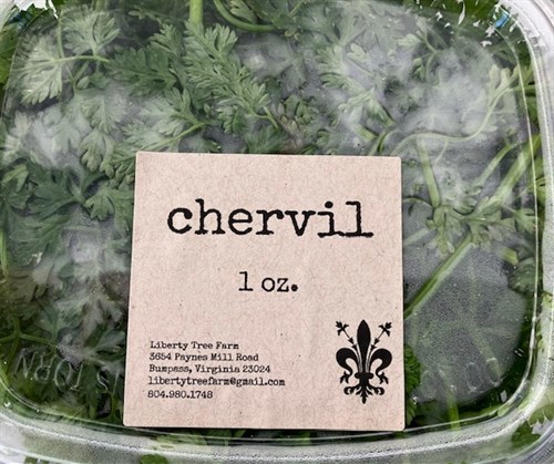 Chervil