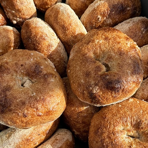 3 Plain Bagels