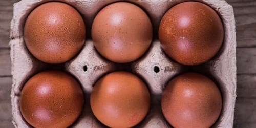 Eggs