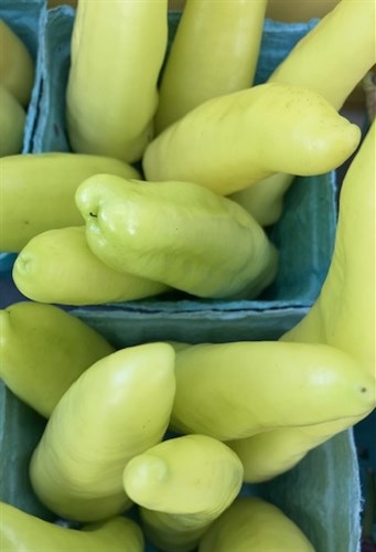 Hungarian Hot Wax Peppers