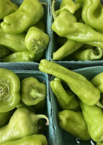 Cubanelle Pepper