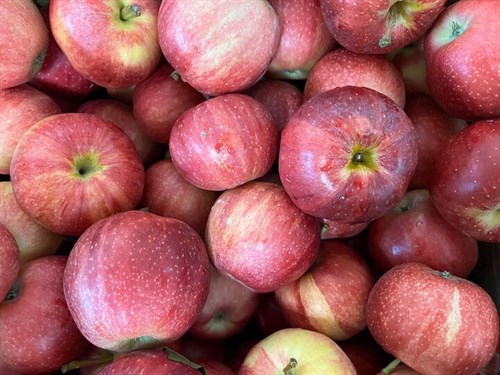 Apples: Gala