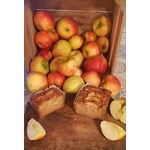Gluten Free Traditional Irish 'Galway' Apple Cake
