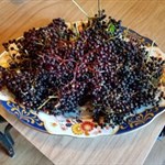 Fresh elderberries