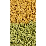 Pea + Carrot Campanelle