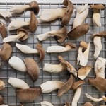 Black Pearl Kings on drying rack